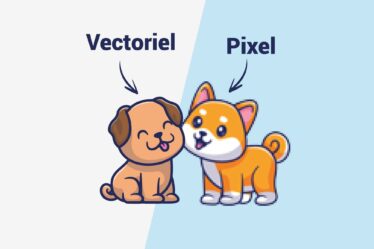 Illustration vectoriel VS pixel