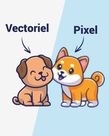 Illustration vectoriel VS pixel