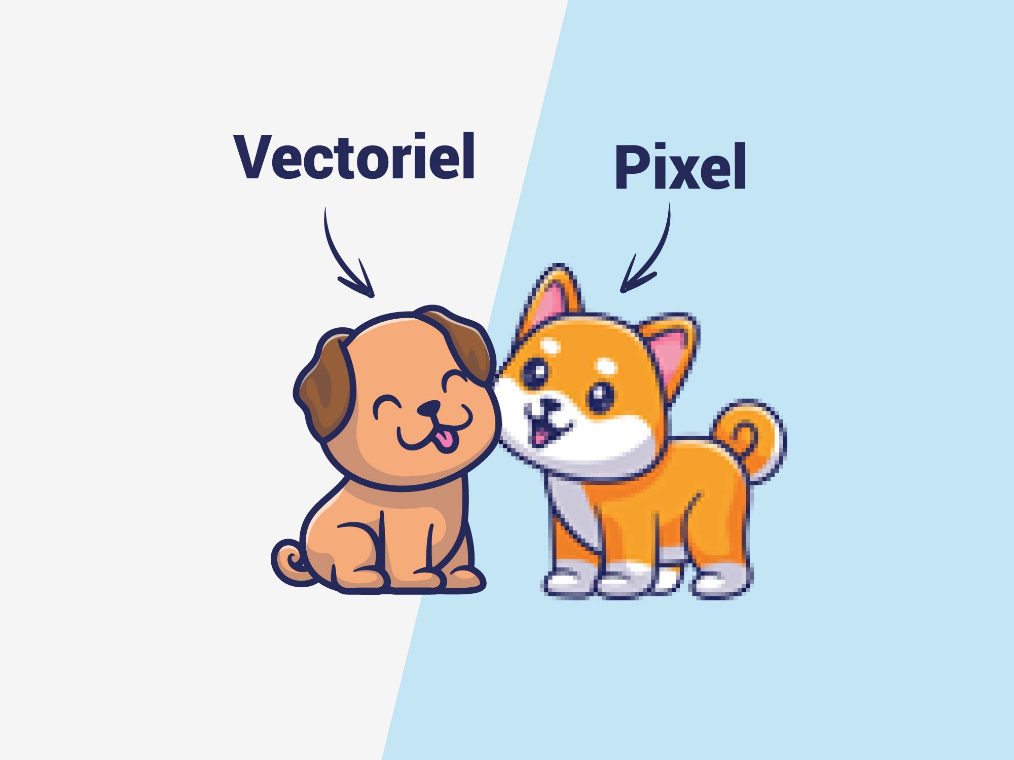 Illustration vectoriel VS pixel
