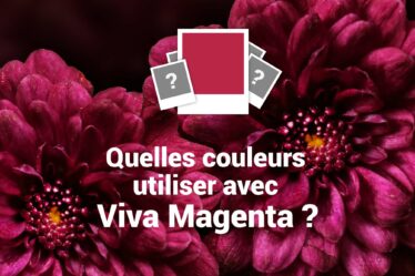 suggestions couleurs avec Viva Magenta