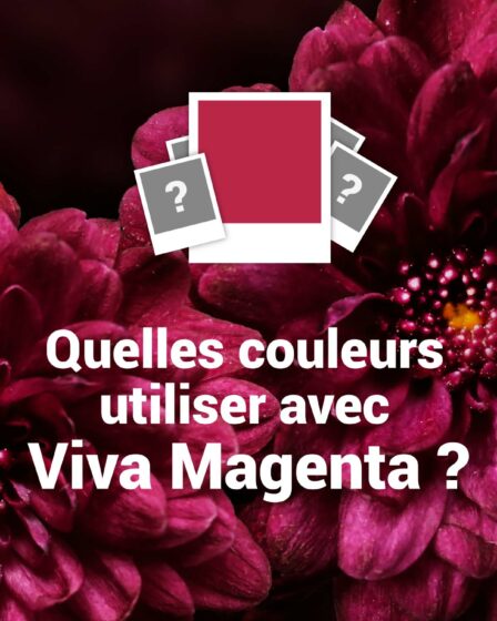 suggestions couleurs avec Viva Magenta