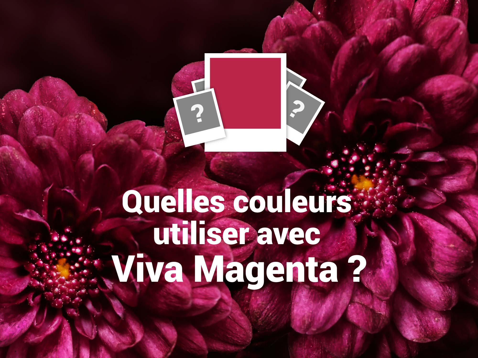 suggestions couleurs avec Viva Magenta