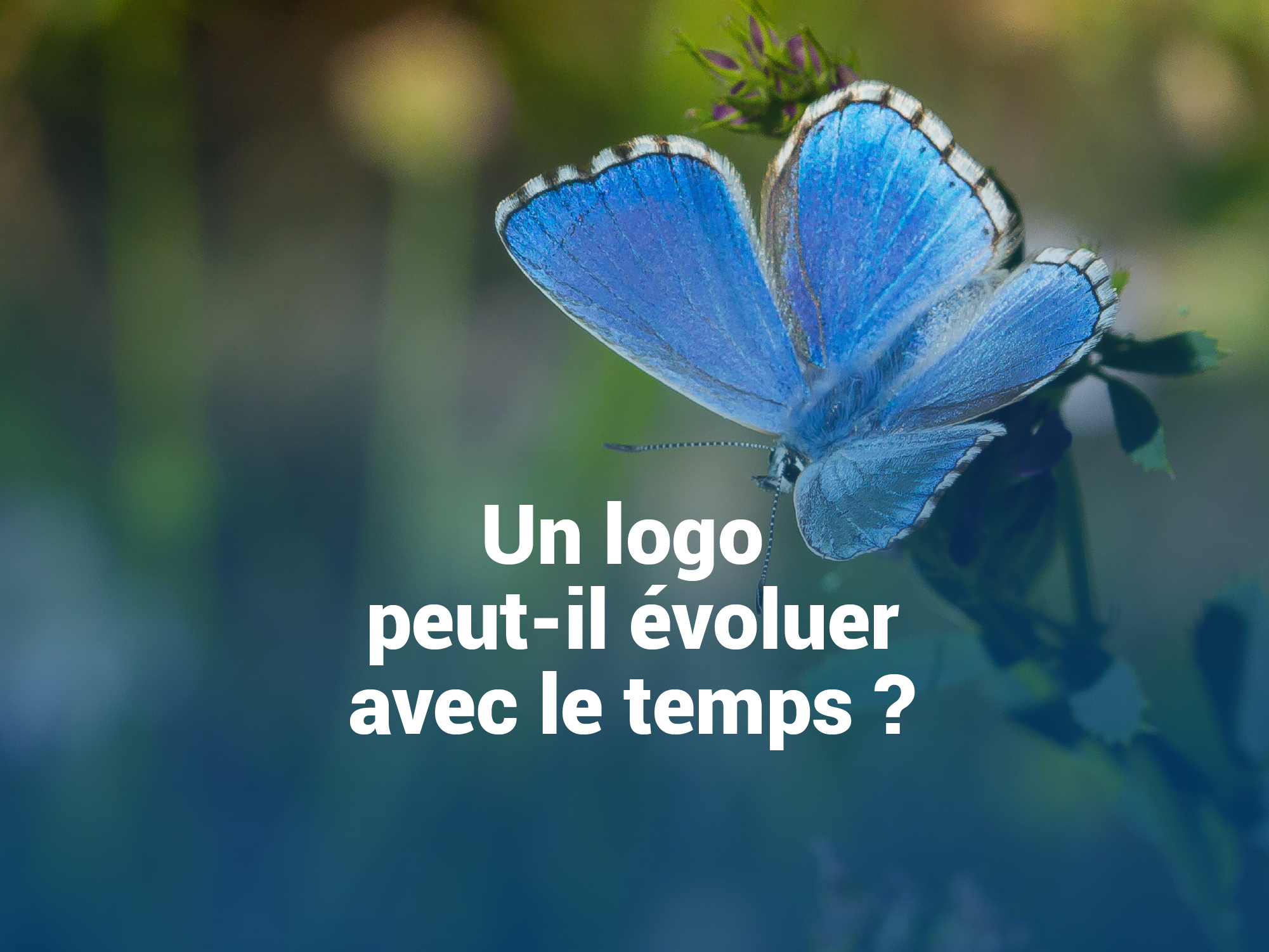 Un logo peut-il évoluer avec le temps