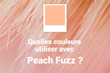 quelles couleurs associer avec Pantone Peach Fuzz