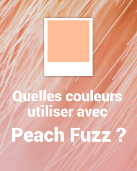 quelles couleurs associer avec Pantone Peach Fuzz