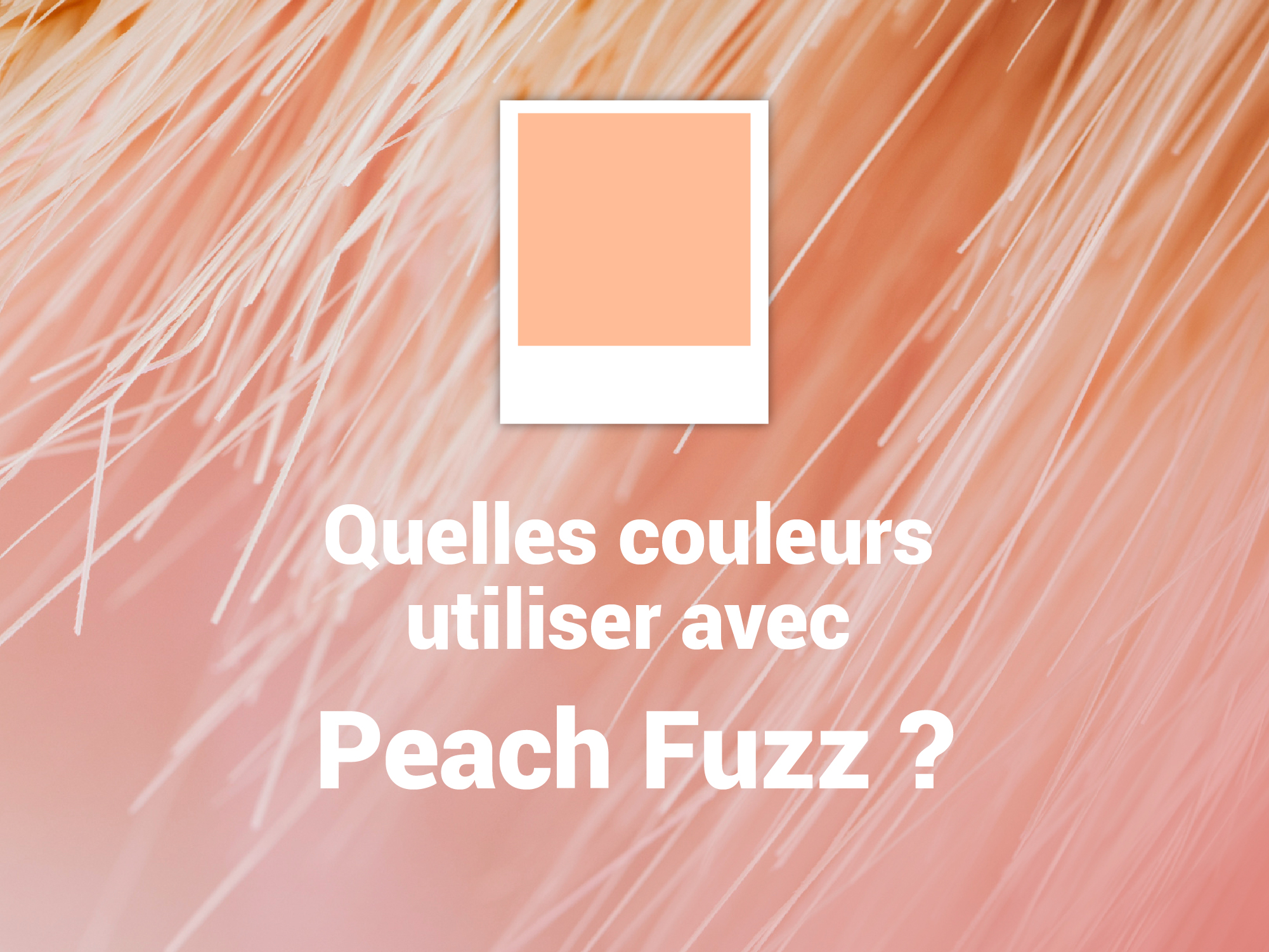 quelles couleurs associer avec Pantone Peach Fuzz