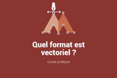 Quel format est vectoriel - Guide pratique