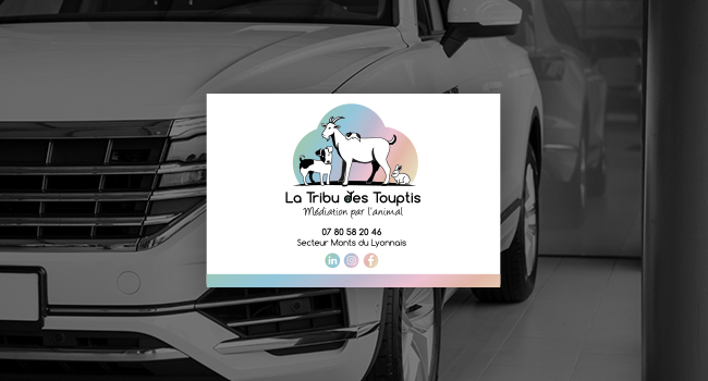 Création du logo et de la plaque aimantée de La Tribu des Touptis, entrepreneuse spécialisée dans la médiation par l’animal.