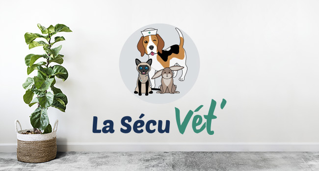 Réalisation du logo La Sécu Vét', société spécialisée dans la sécurité sociale des animaux