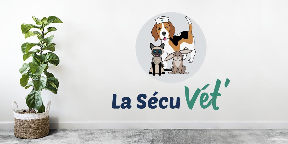 Avis La Sécu Vét' : projet de création de logo et illustratration site - réseaux sociaux (facebook, youtube)